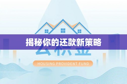北碚揭秘你的还款新策略