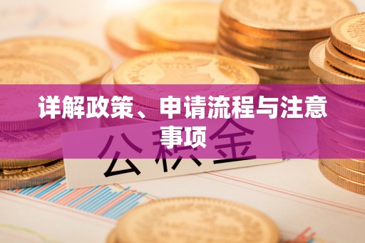 北碚详解政策、申请流程与注意事项